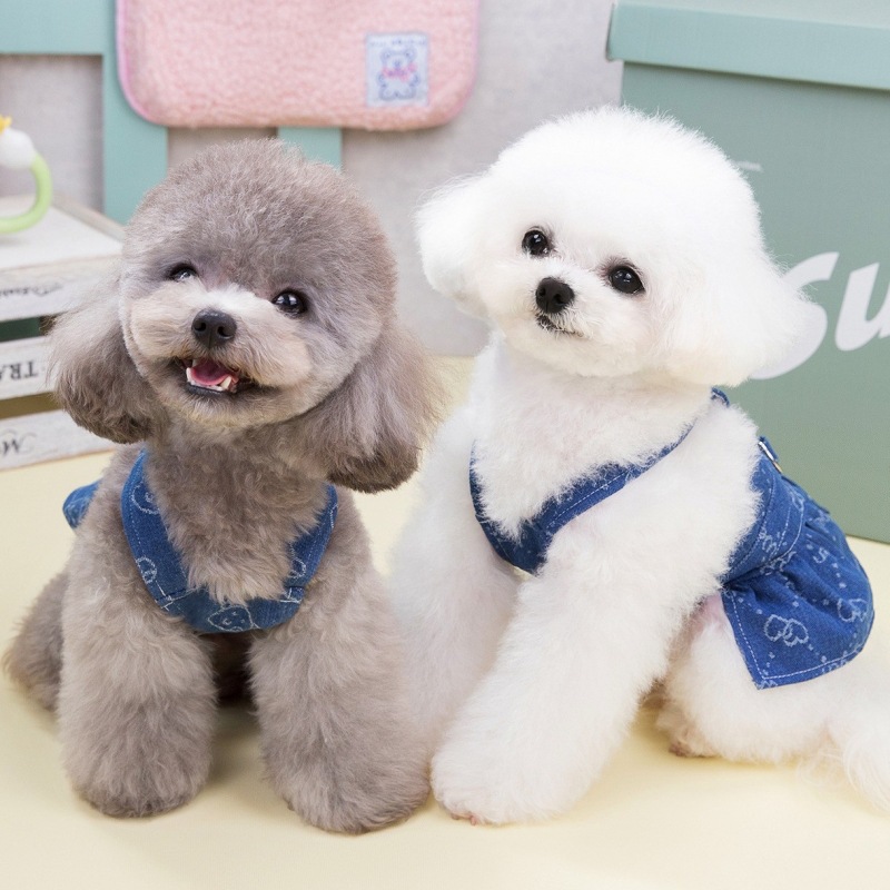 Denim Köpek Elbise Koşum Köpek - D Ring Strap incelemesi ve fiyatı